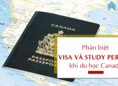 Phân biệt Visa và Study Permit khi du học Canada
