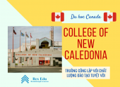 COLLEGE OF NEW CALEDONIA – TRƯỜNG CÔNG LẬP  VỚI CHẤT LƯỢNG ĐÀO TẠO CHUYỂN TIẾP TUYỆT VỜI TẠI CANADA