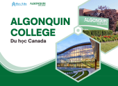 ALGONQUIN COLLEGE - NƠI SẴN SÀNG CHO SỰ THAY ĐỔI